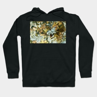 Gold and Silver Abstract Leaves Hoodie